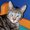 Photo of Luna C.