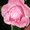 Photo of A R.