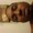Photo of ARMOND A.