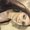 Photo of Marcela F.