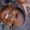 Photo of Imani C.