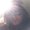 Photo of Nisha B.