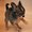 Photo of Stitch H.