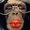 Photo of Qype User (Xtia…)