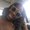 Photo of Dri S.
