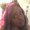 Photo of Alexandria S.