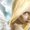 Photo of Qype User (malakb…)