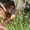Photo of Nhi Y.