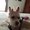 Photo of Joey H.