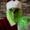 Photo of Grinch T.