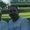 Photo of Dave K.