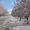 Photo of Antoha M.