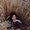 Photo of Lauryn D.