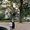 Photo of Yaneth B.