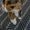 Photo of Cindy L.