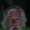 Photo of Brian R.