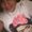 Photo of Nicole M.