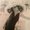 Photo of Jeannette B.