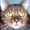 Photo of Nunya B.