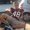 Photo of Tyler M.