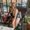 Photo of Janessa S.