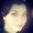 Photo of Stephanie R.