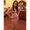 Photo of Magy S.