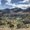Photo of Wasatch P.