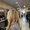 Photo of Caryn K.