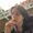 Photo of Mirjam D.