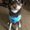 Photo of Jacelyn M.