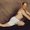 Photo of Ashley U.