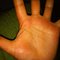 Aneesh S.