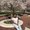 Photo of Jovana F.