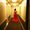 Photo of Livia C.