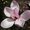 Photo of Nilda R.