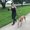 Photo of Katie R.