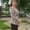 Photo of Karyn S.