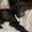 Photo of Lainie M.