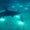 Photo of Alex A.