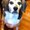 Photo of Rochele K.