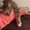 Photo of Caitlin P.