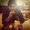 Photo of Mehul P.