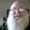 Photo of Greg H.