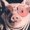 Photo of Qype User (MrsPig…)
