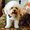 Photo of Carmelita-Guardian S.