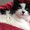 Photo of Korin F.