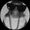 Photo of Eyo T.