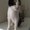 Photo of Christine S.