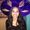 Photo of Neha K.